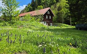 Sägemühle Eschachthal